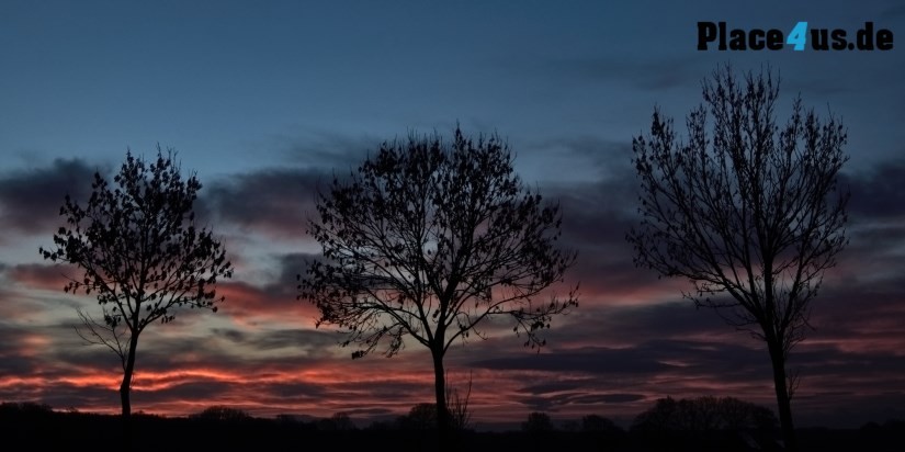 Sony A7: Sonnenaufgang Dülmen Dernekamp - Drei Birken