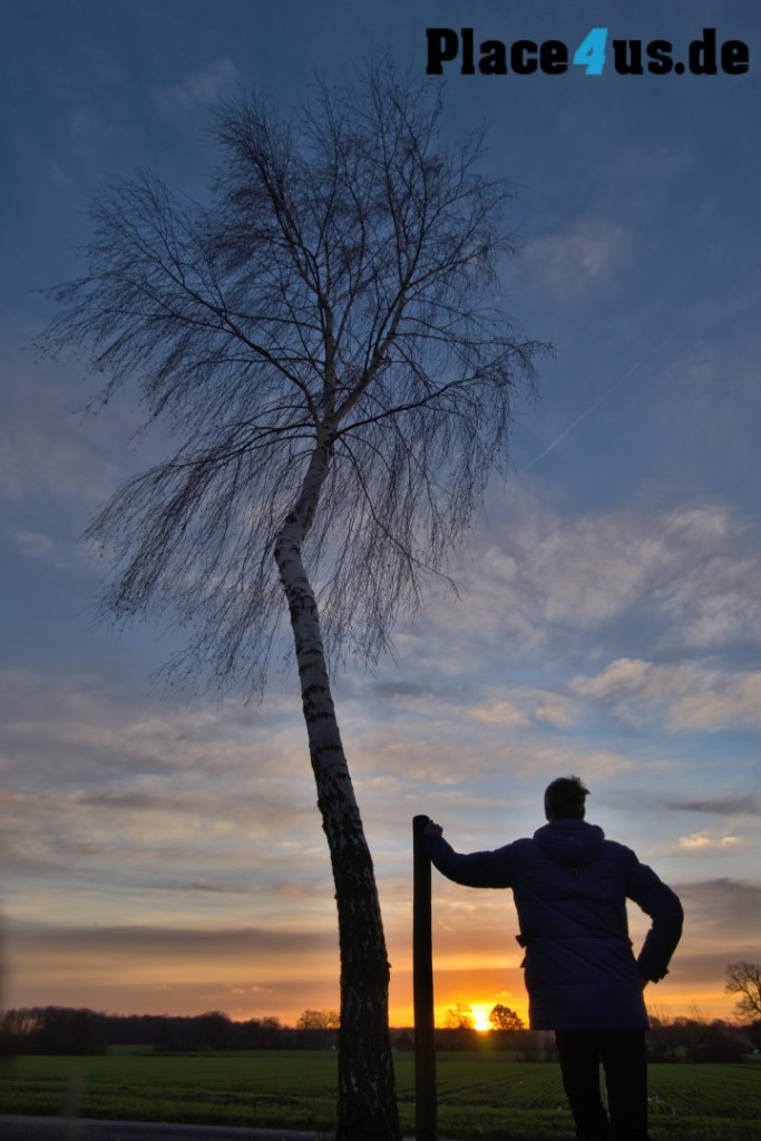 Sony A7: Sonnenaufgang Dülmen Dernekamp - Blick in die Sonne